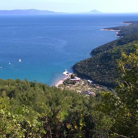 North Adriatic View Apartment Rabac Exterior foto